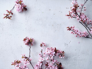 Cherry blossoms on concrete background