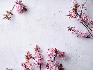 Cherry blossoms on concrete background