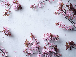 Cherry blossoms on concrete background