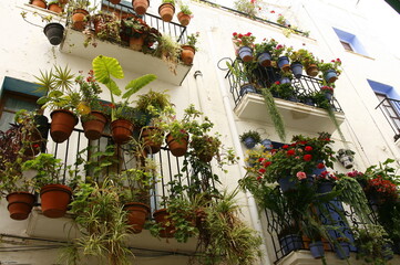 Fototapeta na wymiar Fenêtre de maison avec petit balcon fleuri dans le centre historique de la ville Espagnole Peniscola