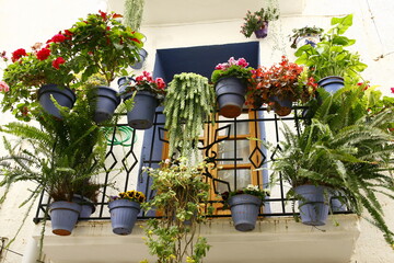 Fen&ecirc;tre de maison avec petit balcon fleuri dans le centre historique de la ville Espagnole Peniscola
