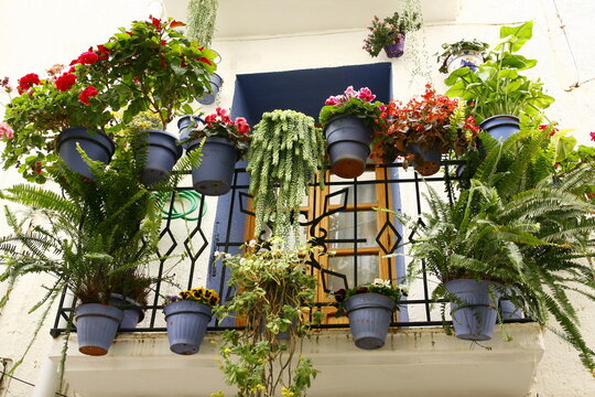 Fen&ecirc;tre de maison avec petit balcon fleuri dans le centre historique de la ville Espagnole Peniscola