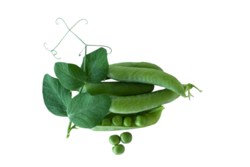 green pea vegetable bean isolated on white background
