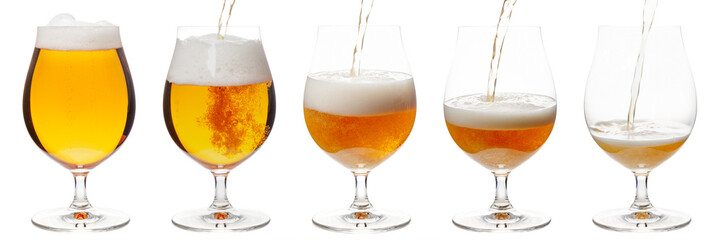 Pouring beer in tulip glass isolated on white - obrazy, fototapety, plakaty