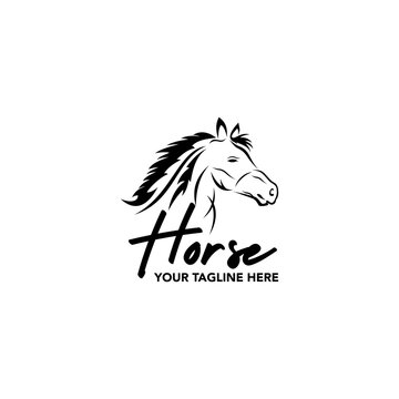 Horse head logo vector illustration design graphic, suitable for your design need, logo, illustration, animation, etc. 