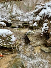 stream in the mountains