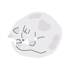Illustration of cute cat sleeping in a circle. Isolated trendy simple art, white kitten taking a nap.