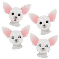 set of gray small chihuahua heads with different emotions