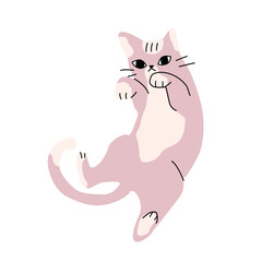 Illustration of i solated cute pink cat, strange funny pose.