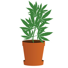 Weed Marijuana Illustration