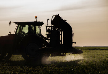 Fototapeta premium Tractor spraying pesticides wheat field.