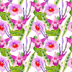 
Watercolor orchids in a seamless pattern. Can be used as fabric, wallpaper, wrap.