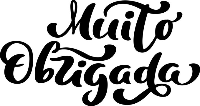 Muito Obrigada handwritten lettering text. Thank you very much in Portuguese language. Ink illustration. Modern brush calligraphy. Isolated on white background. Gratitude words for postcards