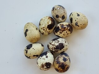Fototapeta premium quail eggs on a white background