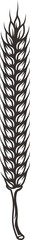 Barley spike for art brush for bar menu or pattern brush logo element