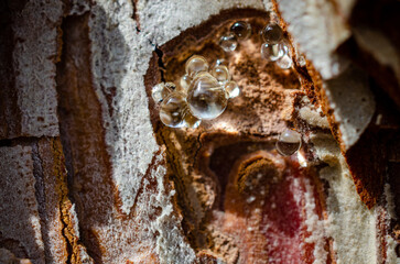 close up of an rusty metal