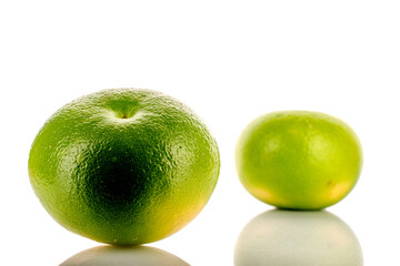 Two natural juicy Citrus Sweetie, close-up, on a white background.