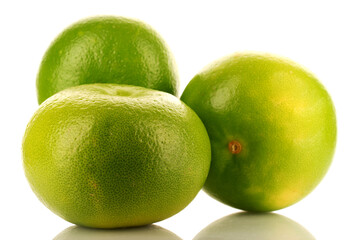Three organic bright green Citrus Sweetie, close-up, isolated on white.