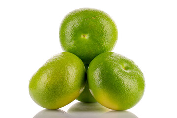 Several organic juicy Citrus Sweetie, close-up, on a white background.
