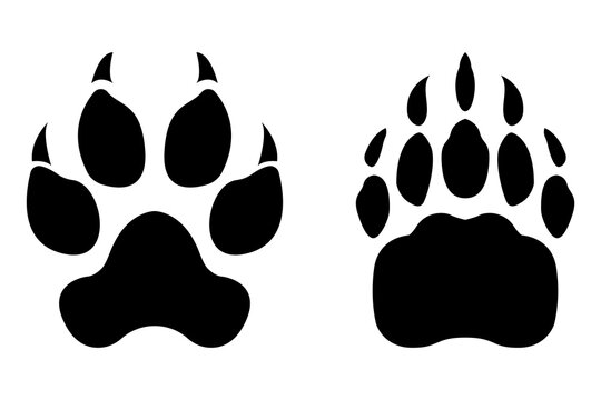 Animal Paw Print. Vector illustration