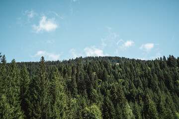 Majestic mountains in the Alps covered with trees and clouds