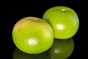 Two natural juicy Citrus Sweetie, close-up, on a black background.