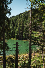 Fototapeta premium Lac de Morgins in autumn with snowcapped mountains, Pas de Morgins