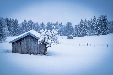 wooden hut in a winter landscape in the allgäu, germany

