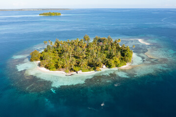 A coral reef surrounds an idyllic tropical island in the Halmahera Sea, not far from Raja Ampat,...