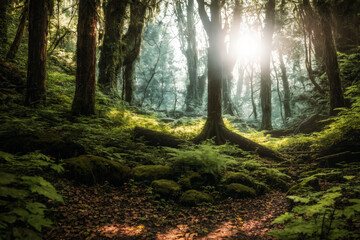 Obraz premium Beautiful Morning in the woods. Nature scene illustration created with generative AI.