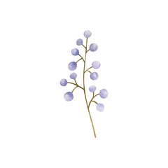 Watercolor illustration of a branch isolated on a white background.