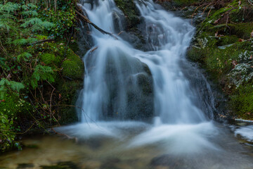 Naklejka premium waterfall in mata da albergaria