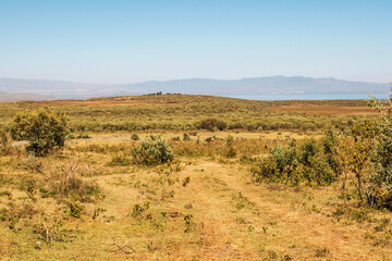 Fototapeta premium Scenic view of volcanic mountain landscapes in Naivasha, Rift Valley, Kenya