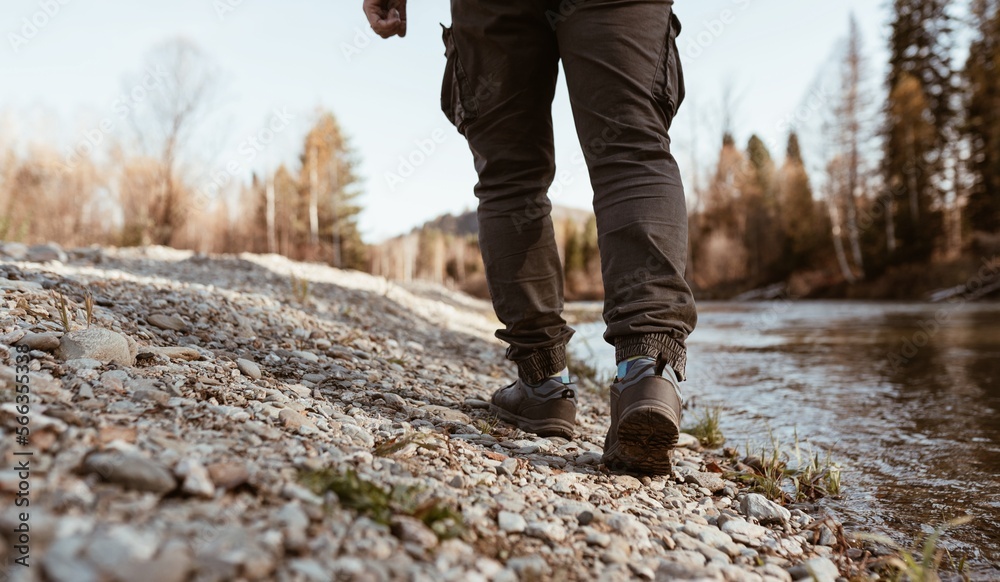 Canvas Prints walking in the woods