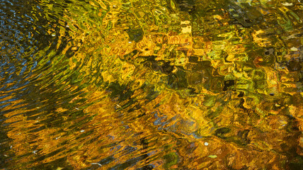 Reflection in water. Autumn trees. Fall mood
