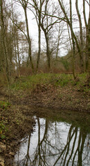 Beautiful view of the river Ourthe
