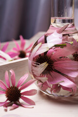 A chemical flask filled with echinacea purpure flowers and alccohol for further extraction and tincture preparation.