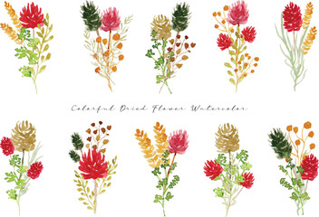 a set of aesthetic dried flower arrangement watercolor