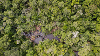 Salto de agua, rodeado de vegetacion natural en la Selva Misionera. Parque Provincial Salto Encantado.