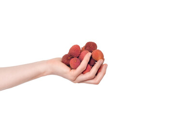 Hand full of litchi isolated on white background. The lychee has fleshy fruits.