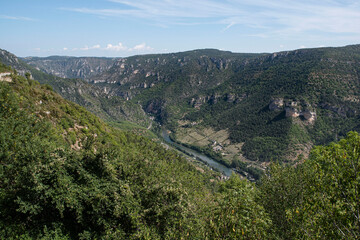 Fototapeta na wymiar Landscape of the Tarn gorges in France