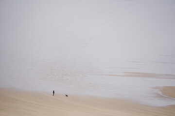 Un hombre con su perro en la playa