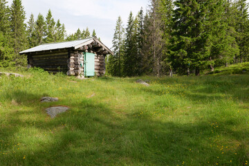 Typisches Haus in Norwegen in blühenden Wiesen und am Waldrand in einer Lichtung gelegen, gesehen entlang des St. Olavsweg, Gudbrandsdalsleden am Mijosa See zwischen Eidsvoll und Hamar.
