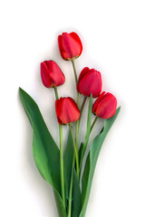 Bouquet of red flowers tulips on a white background with space for text. Top view, flat lay