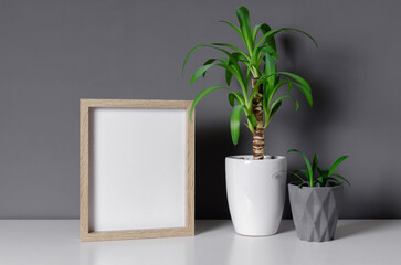 Blank wooden picture frame mockup with home plants in pots