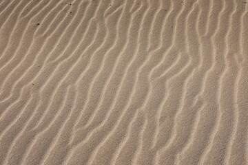 sand waves