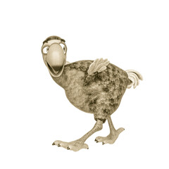 dodo cartoon is walking and also looking back © DM7
