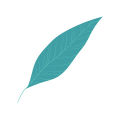 Isolated colored summer leaf sketch icon Vector illustration