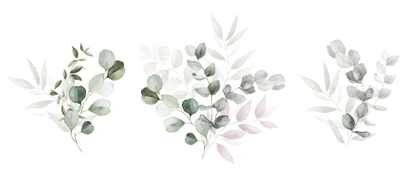 Watercolor floral bouquet branches set with green pink blush leaves, for wedding invitations, greetings, wallpapers, fashion, prints. Eucalyptus, olive green leaves.