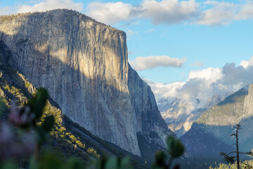 El Capitan landscape – springtime in Yosemite Valley